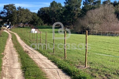Farm i Alcobaca, Leiria, Alcobaca - € 470.000 | Ref: LP12012026 - foto 19