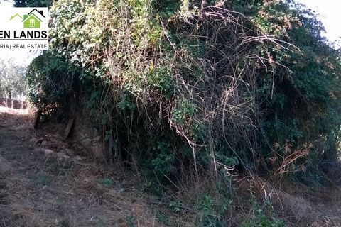 Villa a Arganil, Coimbra, Arganil - € 13.000 | Ref: 198 - foto 6