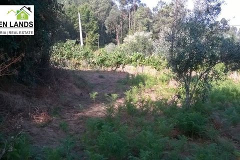 Villa a Arganil, Coimbra, Arganil - € 13.000 | Ref: 198 - foto 7