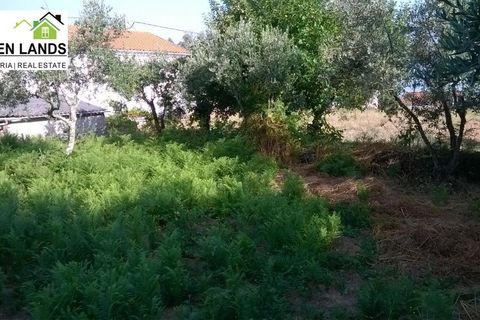 Villa a Arganil, Coimbra, Arganil - € 13.000 | Ref: 198 - foto 11