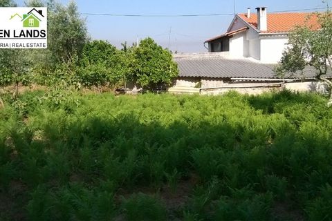 Villa a Arganil, Coimbra, Arganil - € 13.000 | Ref: 198 - foto 12