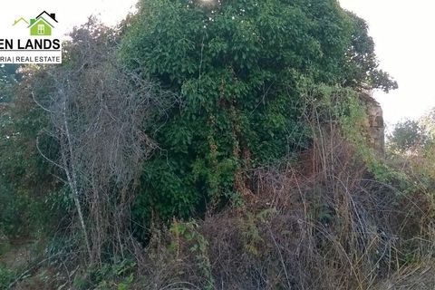Villa a Arganil, Coimbra, Arganil - € 13.000 | Ref: 198 - foto 13