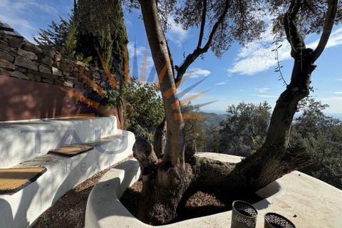 Villa a Sayalonga, Malaga, Sayalonga - € 798.000 | Ref: C3964 - foto 42