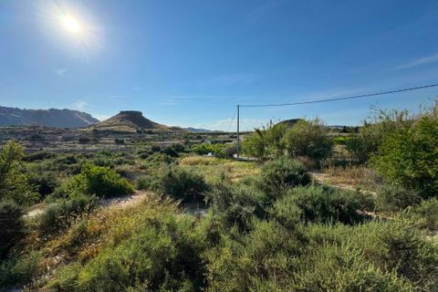 Terra a Abaran, Murcia, Abaran - € 51.000 | Ref: 2540 - foto 5