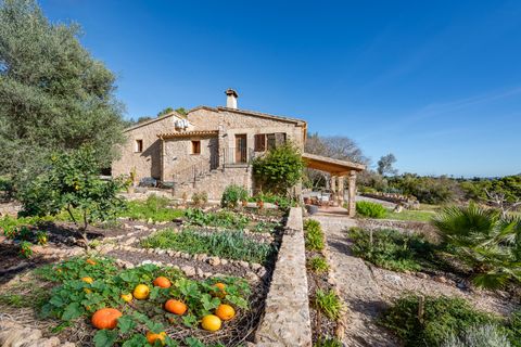 Landejendom i Pollenca, Mallorca, Pollenca - € 3.200.000 | Ref: POL52499 - foto 15