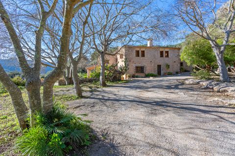 Landejendom i Pollenca, Mallorca, Pollenca - € 3.200.000 | Ref: POL52499 - foto 17