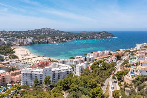 Villa i Santa Ponsa, Mallorca, Santa Ponsa - € 4.250.000 | Ref: FALC-Nep-62435 - foto 5