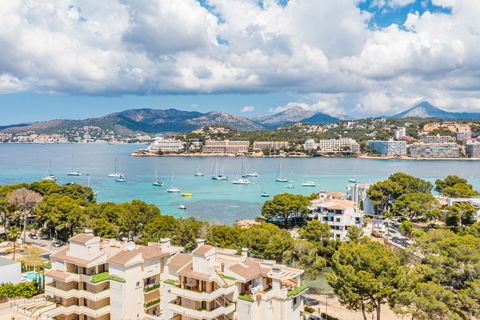 Villa i Santa Ponsa, Mallorca, Santa Ponsa - € 4.250.000 | Ref: FALC-Nep-62435 - foto 19