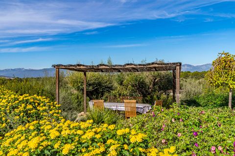 Finca i Algaida, Mallorca, Algaida - € 2.500.000 | Ref: FALC-Nep-62523 - foto 22