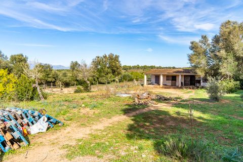 Finca i Algaida, Mallorca, Algaida - € 2.500.000 | Ref: FALC-Nep-62523 - foto 29
