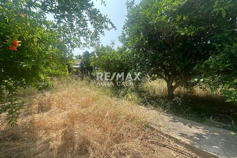 Finca in Palma De Mallorca, Mallorca - Foto 3