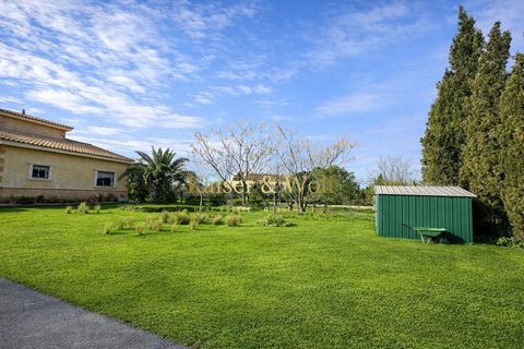 Villa i Elche, Alicante, Elche - € 550.000 | Ref: AM0048 - foto 12