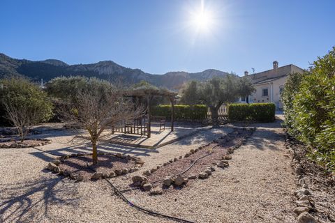 Finca i La Zarza, Murcia - foto 3