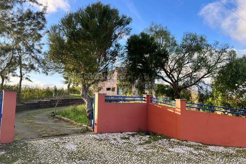 Villa i Bombarral, Leiria, Bombarral - € 499.000 | Ref: SS_0070 - foto 3