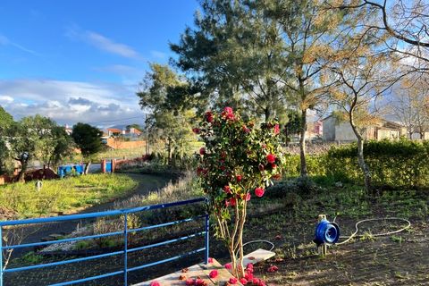 Villa i Bombarral, Leiria, Bombarral - € 499.000 | Ref: SS_0070 - foto 17