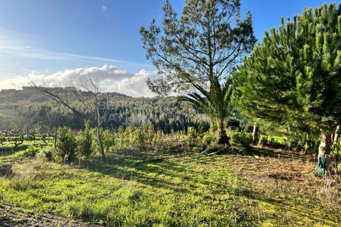 Villa i Bombarral, Leiria, Bombarral - € 499.000 | Ref: SS_0070 - foto 18
