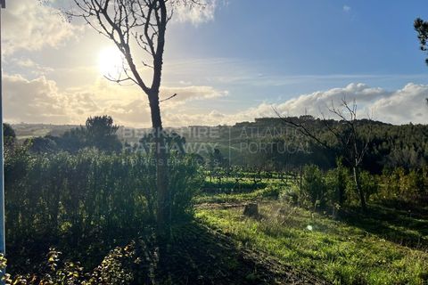 Villa i Bombarral, Leiria, Bombarral - € 499.000 | Ref: SS_0070 - foto 19