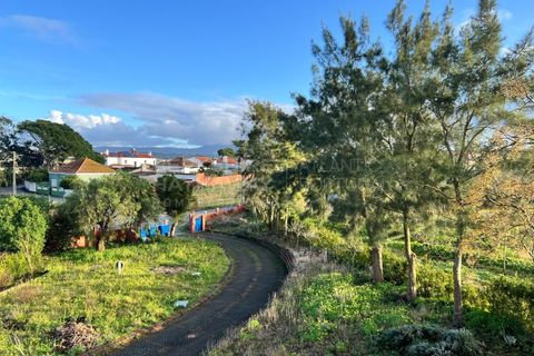 Villa i Bombarral, Leiria, Bombarral - € 499.000 | Ref: SS_0070 - foto 30