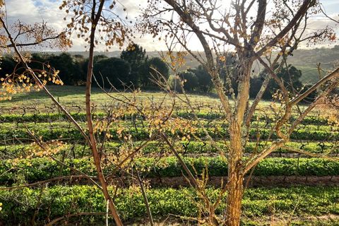Villa i Bombarral, Leiria, Bombarral - € 499.000 | Ref: SS_0070 - foto 36