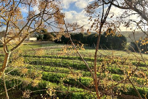 Villa i Bombarral, Leiria, Bombarral - € 499.000 | Ref: SS_0070 - foto 37