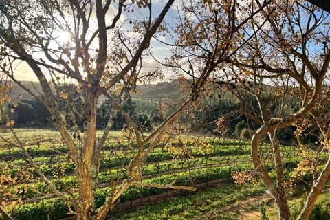 Villa i Bombarral, Leiria, Bombarral - € 499.000 | Ref: SS_0070 - foto 38
