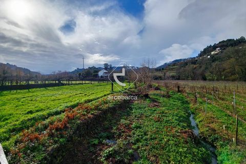 Landejendom i Ponte da Barca, Viana do Castelo, Ponte da Barca - € 210.000 | Ref: AV6592 - foto 32
