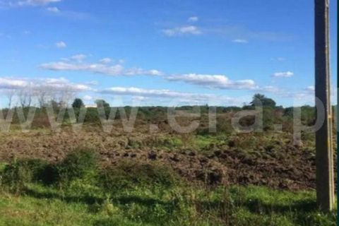 Helårsgrund i Benavente, Santarem, Benavente - € 61.500 | Ref: 355260006 - foto 2