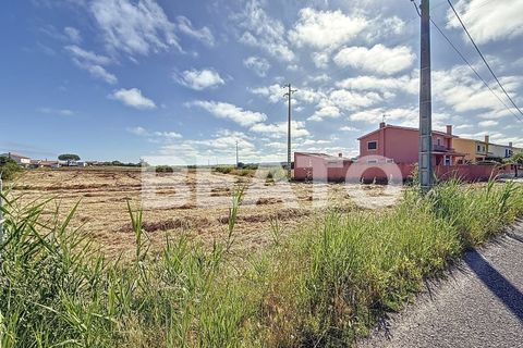 Helårsgrund i Caldas da Rainha, Leiria, Caldas da Rainha - € 55.000 | Ref: TER_133 - foto 3