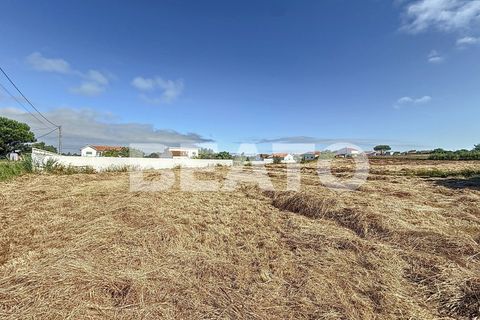 Helårsgrund i Caldas da Rainha, Leiria, Caldas da Rainha - € 55.000 | Ref: TER_133 - foto 5