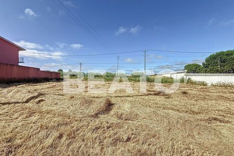 Helårsgrund i Caldas da Rainha, Leiria, Caldas da Rainha - € 55.000 | Ref: TER_133 - foto 6
