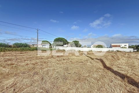 Helårsgrund i Caldas da Rainha, Leiria, Caldas da Rainha - € 55.000 | Ref: TER_133 - foto 7