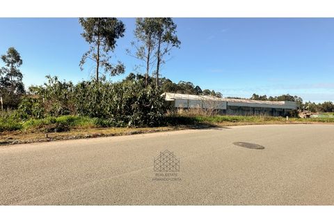 Helårsgrund i Grijo, Porto, Grijo - € 83.000 | Ref: SÒL_92.Mi.001 - foto 4