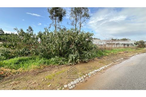Helårsgrund i Grijo, Porto, Grijo - € 83.000 | Ref: SÒL_92.Mi.001 - foto 3