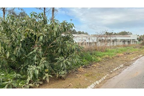 Helårsgrund i Grijo, Porto, Grijo - € 83.000 | Ref: SÒL_92.Mi.001 - foto 10