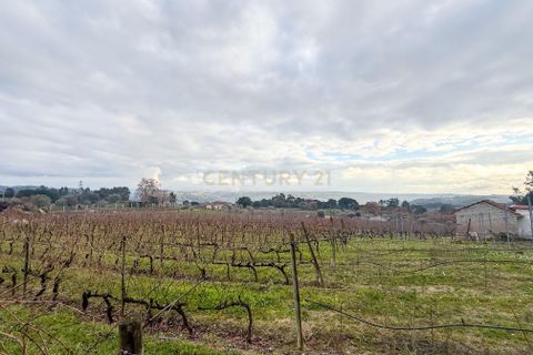 Helårsgrund i Viseu, Viseu, Viseu - € 65.000 | Ref: C0203-02566 - foto 2