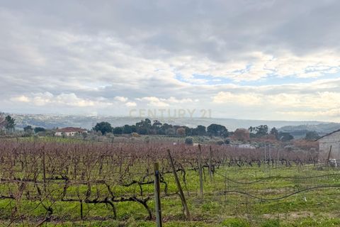 Helårsgrund i Viseu, Viseu, Viseu - € 65.000 | Ref: C0203-02566 - foto 3