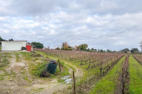 Helårsgrund i Viseu, Viseu, Viseu - € 65.000 | Ref: C0203-02566 - foto 5