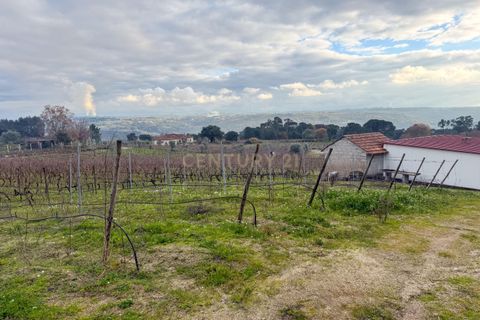 Helårsgrund i Viseu, Viseu, Viseu - € 65.000 | Ref: C0203-02566 - foto 7