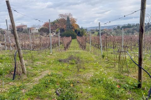 Helårsgrund i Viseu, Viseu, Viseu - € 65.000 | Ref: C0203-02566 - foto 8