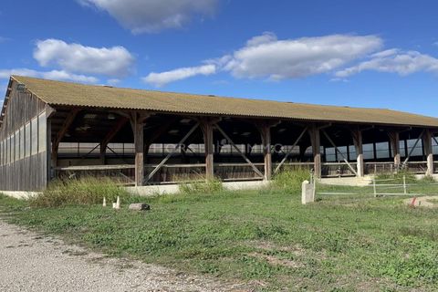 Villa i Nimes, Gard, Nimes - € 1.160.000 | Ref: 2767-ANG - foto 7
