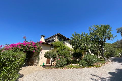 Finca a Andratx, Mallorca, Andratx - € 25.000/mes | Ref: R20943 - foto 3