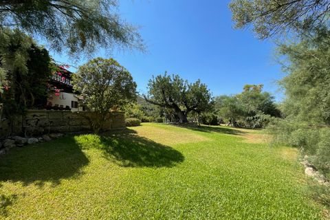 Finca a Andratx, Mallorca, Andratx - € 25.000/mes | Ref: R20943 - foto 25