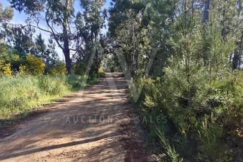 Helårsgrund i Silvares, Castelo Branco, Silvares - € 9.286 | Ref: AV198_V4e5 - foto 4