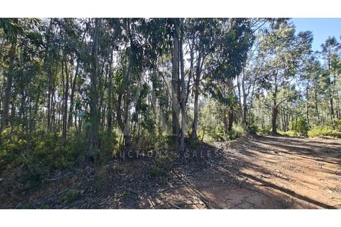 Helårsgrund i Silvares, Castelo Branco, Silvares - € 9.286 | Ref: AV198_V4e5 - foto 9