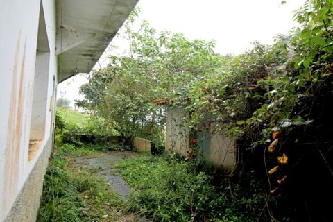 Villa a Santana, Madeira, Santana - € 240.000 | Ref: C0216-03264 - foto 21