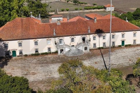 Farm i Anadia, Aveiro, Anadia - € 8.026.000 | Ref: KWPT-022283 - foto 3
