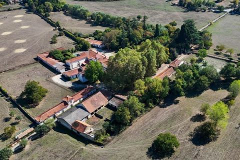 Farm i Anadia, Aveiro, Anadia - € 8.026.000 | Ref: KWPT-022283 - foto 6