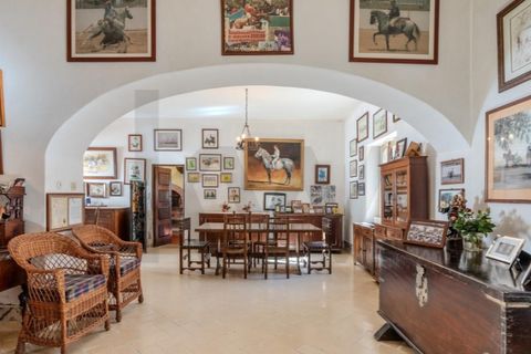 Farm i Anadia, Aveiro, Anadia - € 8.026.000 | Ref: KWPT-022283 - foto 22