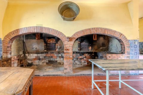 Farm i Anadia, Aveiro, Anadia - € 8.026.000 | Ref: KWPT-022283 - foto 26