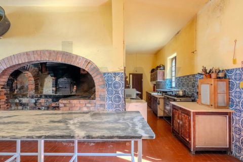 Farm i Anadia, Aveiro, Anadia - € 8.026.000 | Ref: KWPT-022283 - foto 28
